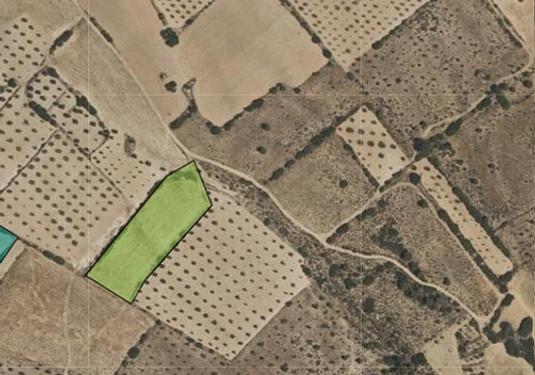 Land in Yecla