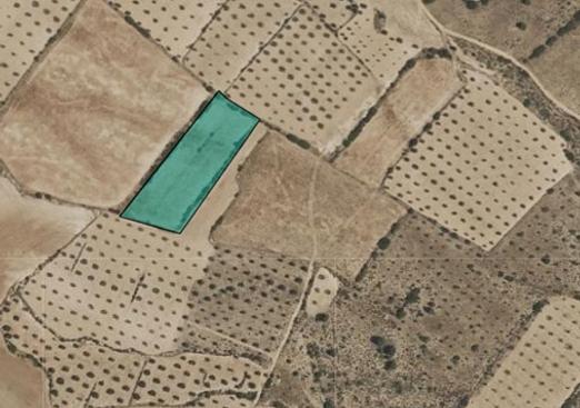 Land in Yecla