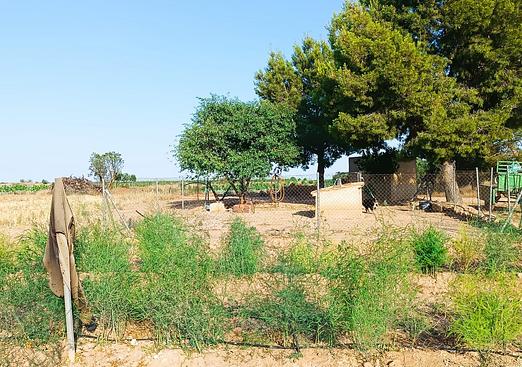Property in Yecla