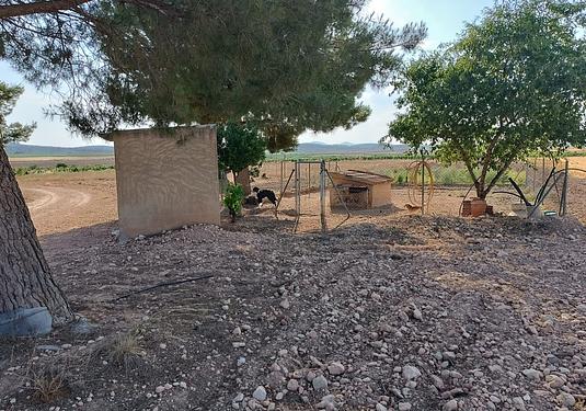 Property in Yecla
