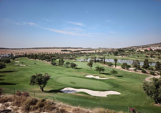 Town house in La Finca Golf Resort