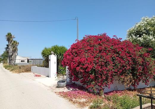 Country house in Daya Nueva