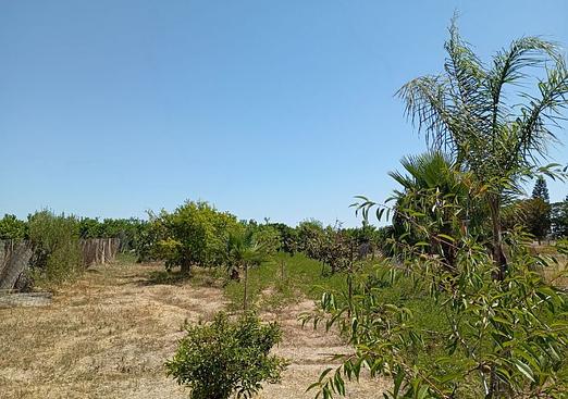 Country house in Daya Nueva