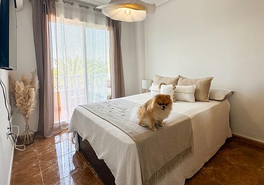 Apartment in Guardamar del Segura