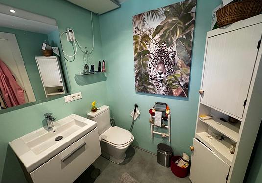 Apartment in Estepona