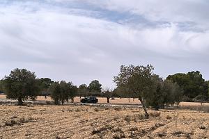thumb 12