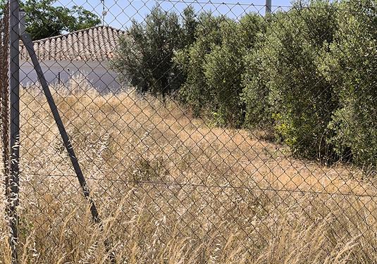Land in Caudete