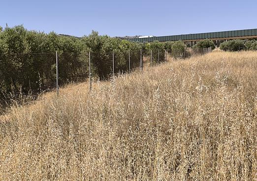 Land in Caudete
