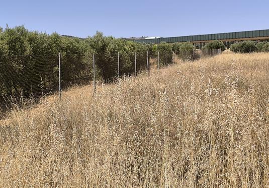 Land in Caudete