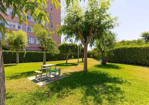 Apartment in La Mata