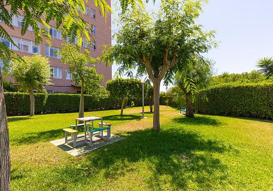 Apartment in La Mata