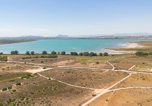 Apartment in La Mata