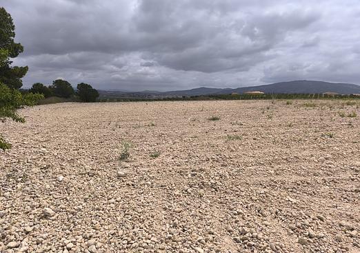 Land in Pinoso