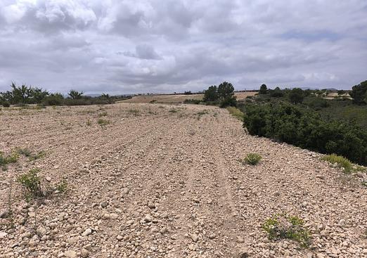 Land in Pinoso