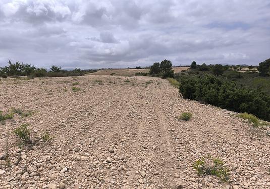 Land in Pinoso