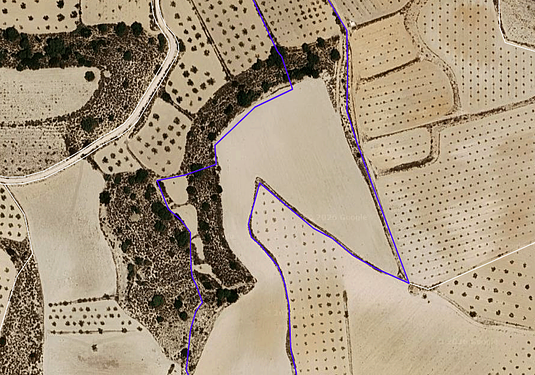 Land in Pinoso