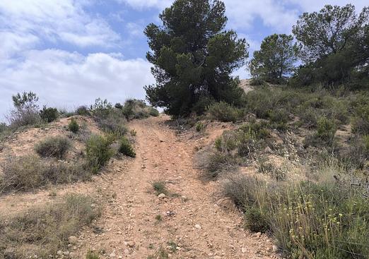 Land in Pinoso