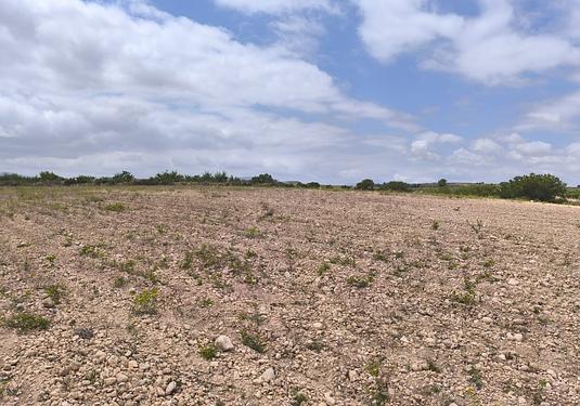 Land in Pinoso