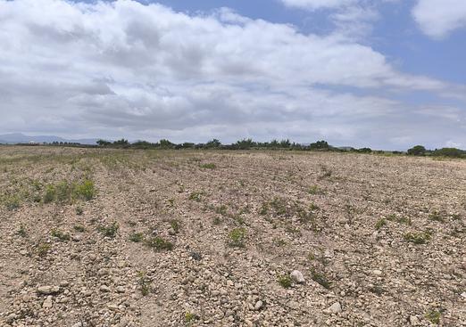 Land in Pinoso
