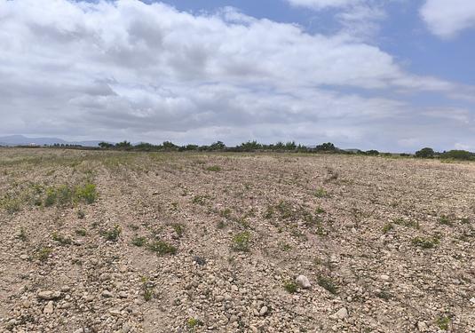 Land in Pinoso