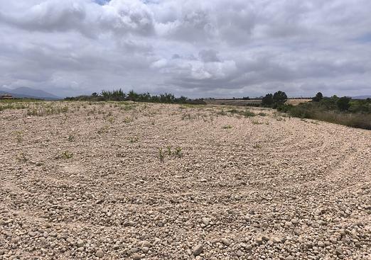 Land in Pinoso