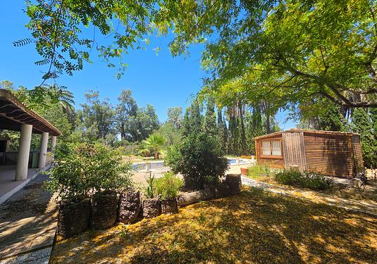 Villa in Elche