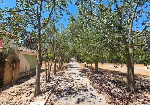 Villa in Elche