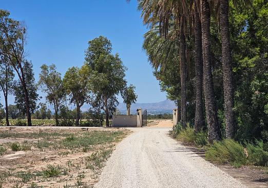 Villa in Elche