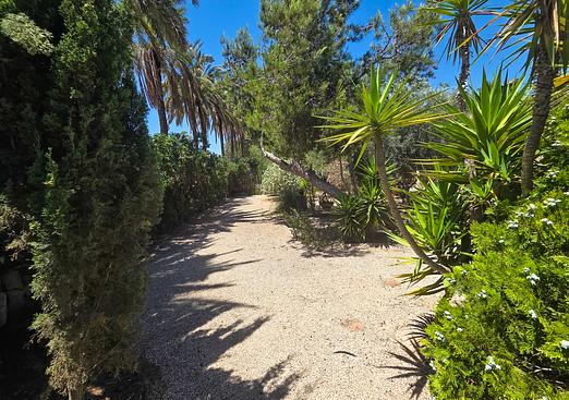Villa in Elche