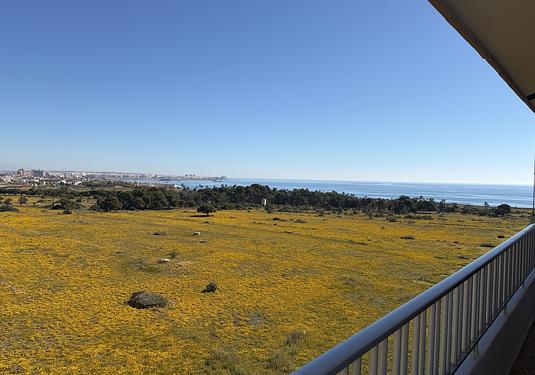 Apartment in Punta Prima