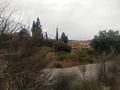 Land in Molina De Segura