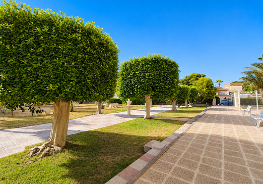 Apartment in La Zenia