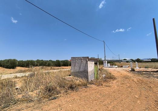 Land in Yecla