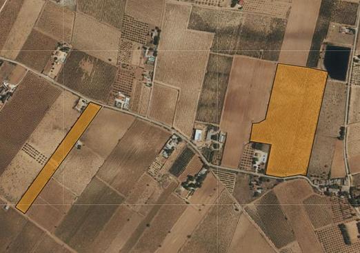 Land in Yecla