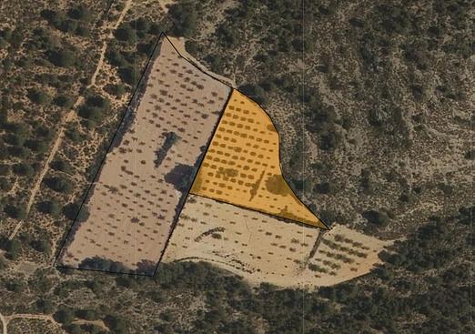 Land in Yecla