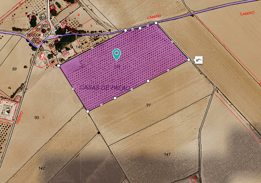 Land in Yecla