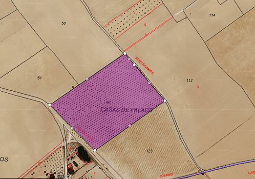 Land in Yecla