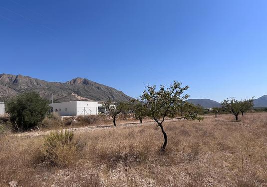 Land in Macisvenda