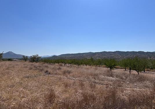 Land in Macisvenda