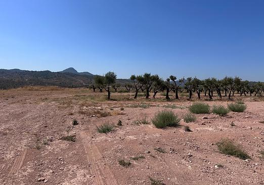 Land in Macisvenda