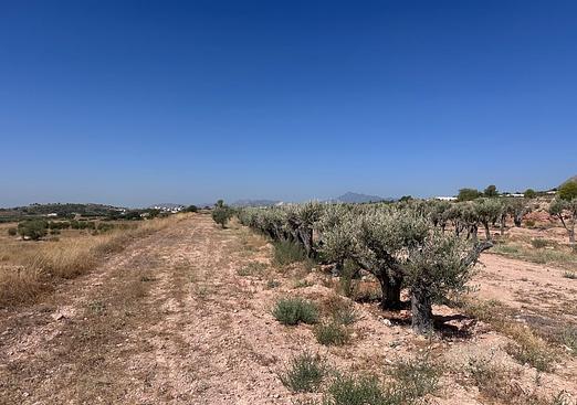 Land in Macisvenda