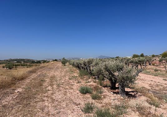 Land in Macisvenda