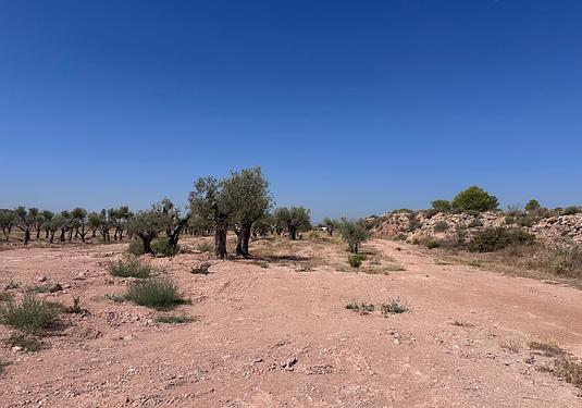 Land in Macisvenda