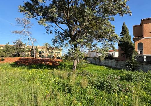 Land in Denia