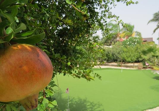 Country house in Dolores