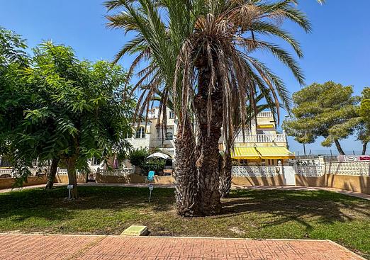 Bungalow in San Miguel de Salinas