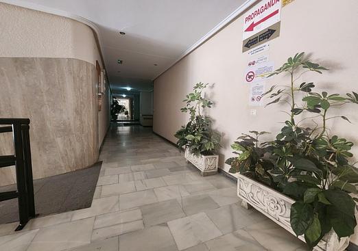 Apartment in Torrevieja