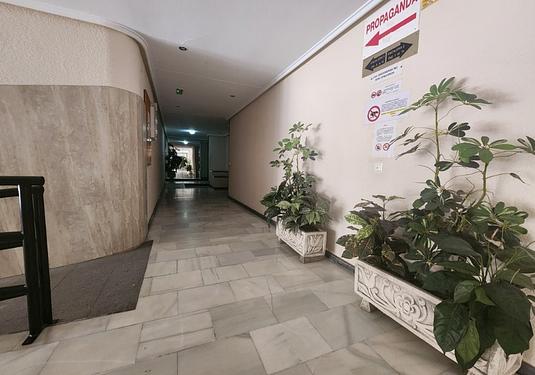 Apartment in Torrevieja