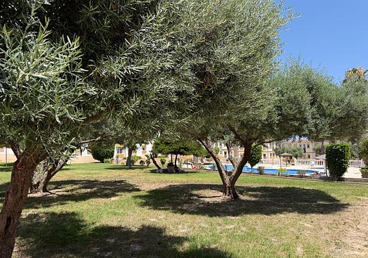 Apartment in Orihuela Costa