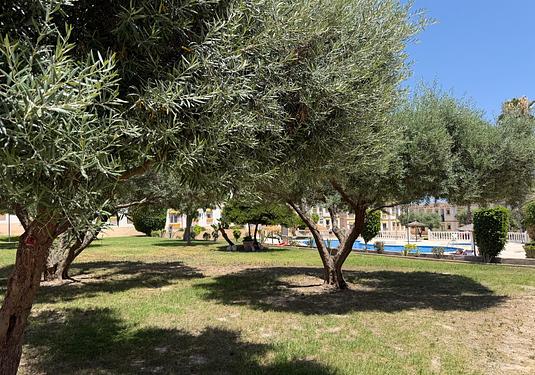 Apartment in Orihuela Costa
